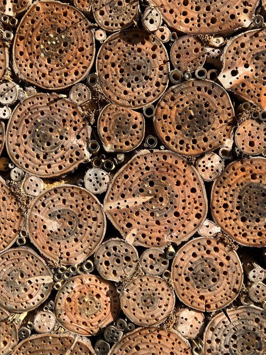 Bee hotel nesting cells